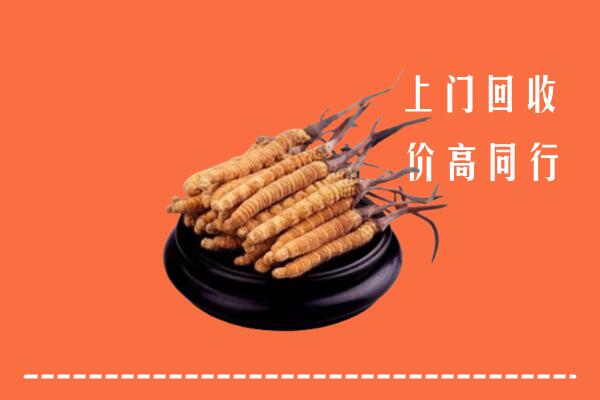 高价求购：盐城市响水县回收散虫草
