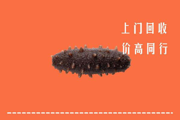 高价求购：盐城市响水县回收海参