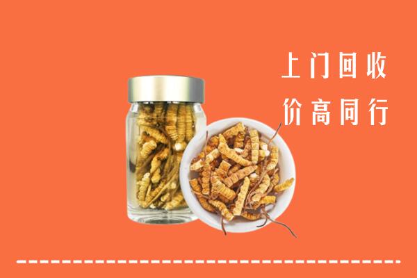 盐城市响水县回收冬虫夏草